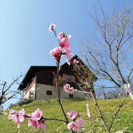 Vita Natura With Sauna And Jacuzzi Pihovec Exterior foto