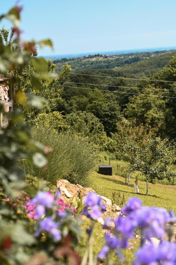 Natura With Sauna And Jacuzzi