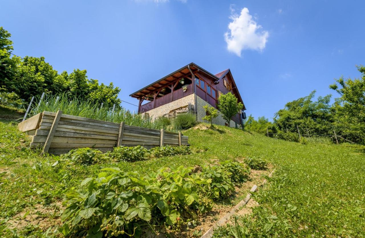 Natura With Sauna And Jacuzzi *