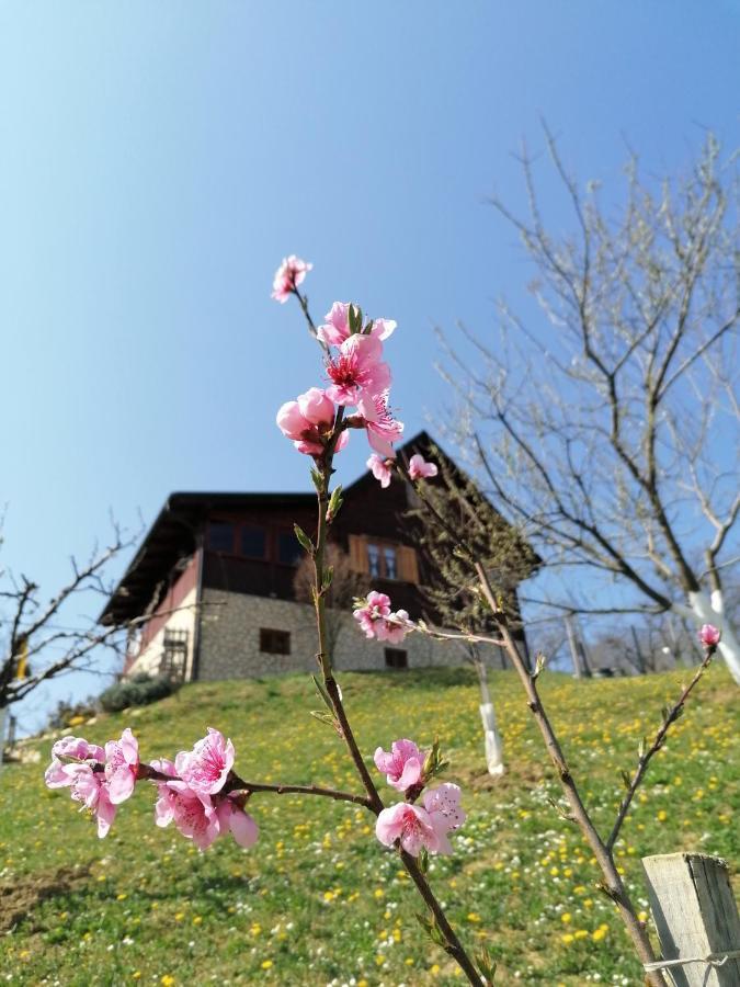 Natura With Sauna And Jacuzzi *